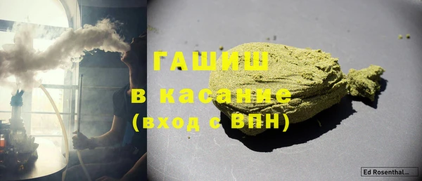 крисы Бородино