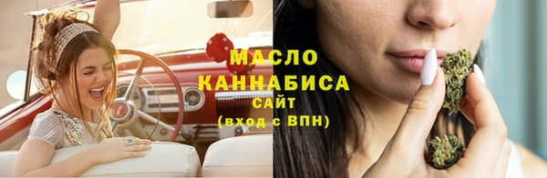 крисы Бородино