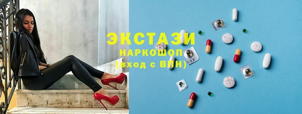 крисы Бородино