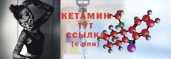 крисы Бородино