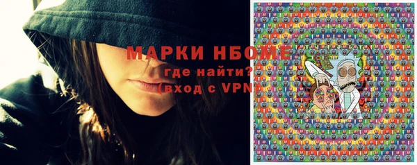 крисы Бородино