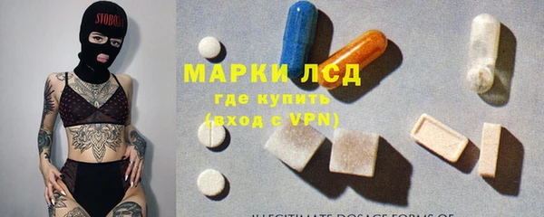 прущие грибы Белокуриха