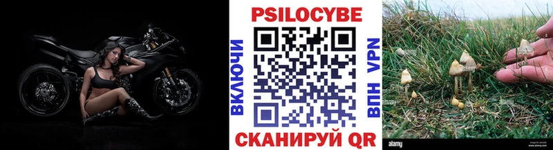 как найти закладки  Кадников  нарко площадка формула  Псилоцибиновые грибы Psilocybe 